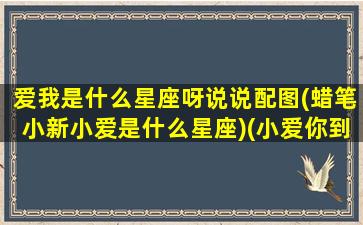 爱我是什么星座呀说说配图(蜡笔小新小爱是什么星座)(小爱你到底是什么星座)