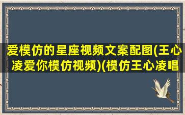 爱模仿的星座视频文案配图(王心凌爱你模仿视频)(模仿王心凌唱歌)