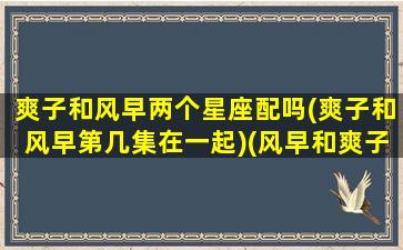 爽子和风早两个星座配吗(爽子和风早第几集在一起)(风早和爽子情侣头像)