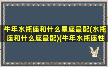 牛年水瓶座和什么星座最配(水瓶座和什么座最配)(牛年水瓶座性格)