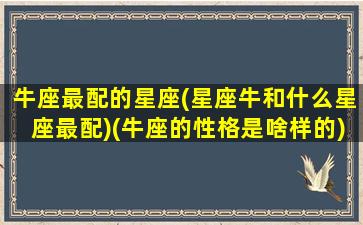 牛座最配的星座(星座牛和什么星座最配)(牛座的性格是啥样的)