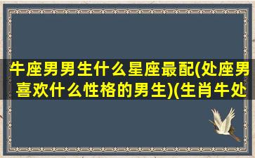 牛座男男生什么星座最配(处座男喜欢什么性格的男生)(生肖牛处女座男)