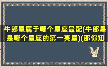 牛郎星属于哪个星座最配(牛郎星是哪个星座的第一亮星)(那你知道牛郎星是属于什么星座)