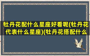 牡丹花配什么星座好看呢(牡丹花代表什么星座)(牡丹花搭配什么花漂亮)