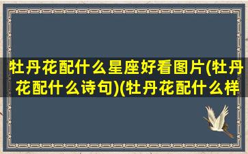 牡丹花配什么星座好看图片(牡丹花配什么诗句)(牡丹花配什么样的花瓶)