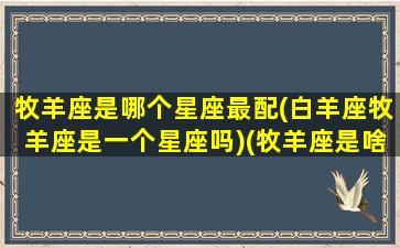 牧羊座是哪个星座最配(白羊座牧羊座是一个星座吗)(牧羊座是啥意思)