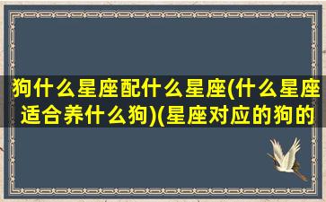 狗什么星座配什么星座(什么星座适合养什么狗)(星座对应的狗的品种)