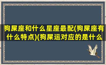 狗屎座和什么星座最配(狗屎座有什么特点)(狗屎运对应的是什么)