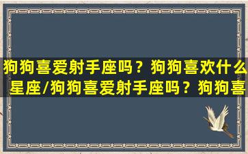 狗狗喜爱射手座吗？狗狗喜欢什么星座/狗狗喜爱射手座吗？狗狗喜欢什么星座-我的网站