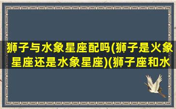 狮子与水象星座配吗(狮子是火象星座还是水象星座)(狮子座和水象星座配吗)