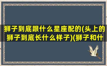 狮子到底跟什么星座配的(头上的狮子到底长什么样子)(狮子和什么星座是绝配)