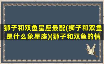 狮子和双鱼星座最配(狮子和双鱼是什么象星座)(狮子和双鱼的情侣配数)