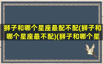 狮子和哪个星座最配不配(狮子和哪个星座最不配)(狮子和哪个星座绝配)