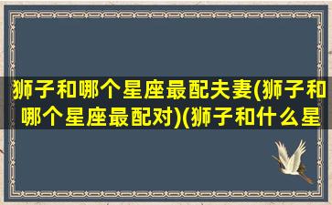 狮子和哪个星座最配夫妻(狮子和哪个星座最配对)(狮子和什么星座最匹配)