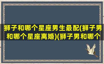 狮子和哪个星座男生最配(狮子男和哪个星座离婚)(狮子男和哪个星座可以长久在一起)