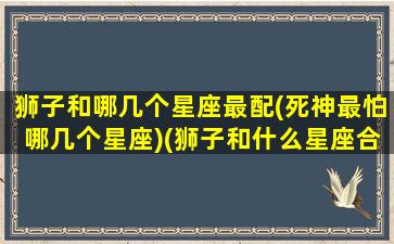 狮子和哪几个星座最配(死神最怕哪几个星座)(狮子和什么星座合得来)