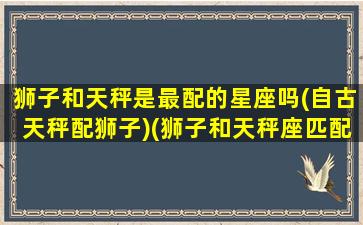 狮子和天秤是最配的星座吗(自古天秤配狮子)(狮子和天秤座匹配程度是多少)