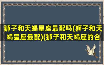 狮子和天蝎星座最配吗(狮子和天蝎星座最配)(狮子和天蝎座的合适吗)