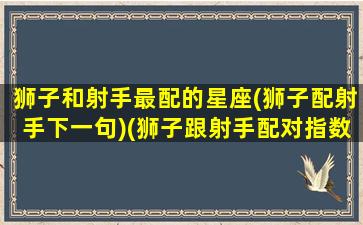 狮子和射手最配的星座(狮子配射手下一句)(狮子跟射手配对指数)