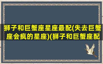 狮子和巨蟹座星座最配(失去巨蟹座会疯的星座)(狮子和巨蟹座配对指数)