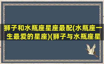 狮子和水瓶座星座最配(水瓶座一生最爱的星座)(狮子与水瓶座星座配对)