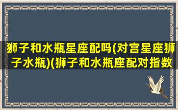 狮子和水瓶星座配吗(对宫星座狮子水瓶)(狮子和水瓶座配对指数)