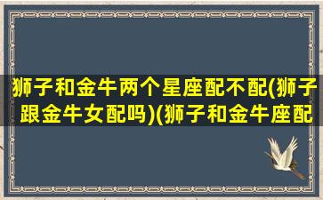 狮子和金牛两个星座配不配(狮子跟金牛女配吗)(狮子和金牛座配对指数)