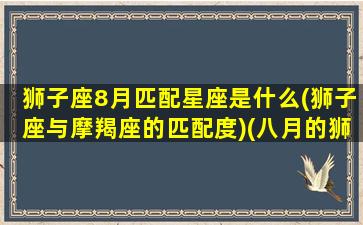 狮子座8月匹配星座是什么(狮子座与摩羯座的匹配度)(八月的狮子座是不是都专一)