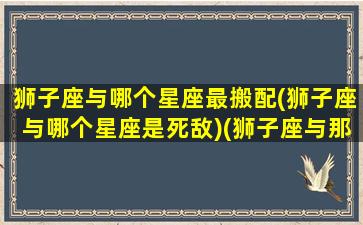 狮子座与哪个星座最搬配(狮子座与哪个星座是死敌)(狮子座与那个星座配)