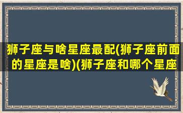 狮子座与啥星座最配(狮子座前面的星座是啥)(狮子座和哪个星座最配的星座)