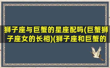 狮子座与巨蟹的星座配吗(巨蟹狮子座女的长相)(狮子座和巨蟹的匹配度)