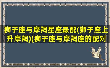 狮子座与摩羯星座最配(狮子座上升摩羯)(狮子座与摩羯座的配对指数)