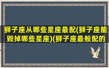 狮子座从哪些星座最配(狮子座能毁掉哪些星座)(狮子座最般配的星座是哪个)