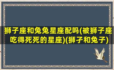 狮子座和兔兔星座配吗(被狮子座吃得死死的星座)(狮孑和兔子)