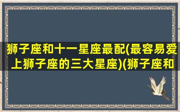 狮子座和十一星座最配(最容易爱上狮子座的三大星座)(狮子座和十二星座最配排名)