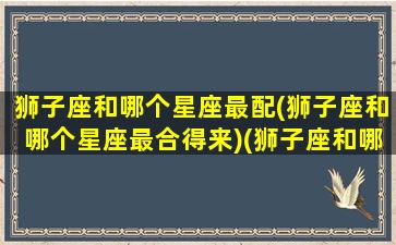 狮子座和哪个星座最配(狮子座和哪个星座最合得来)(狮子座和哪个星座最配的星座)