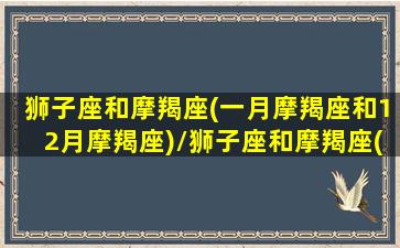 狮子座和摩羯座(一月摩羯座和12月摩羯座)/狮子座和摩羯座(一月摩羯座和12月摩羯座)-我的网站