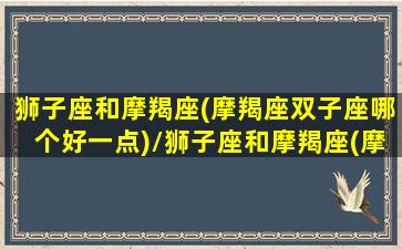 狮子座和摩羯座(摩羯座双子座哪个好一点)/狮子座和摩羯座(摩羯座双子座哪个好一点)-我的网站