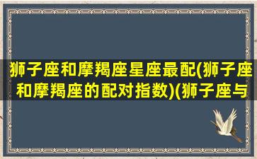 狮子座和摩羯座星座最配(狮子座和摩羯座的配对指数)(狮子座与摩羯座配吗)