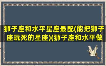 狮子座和水平星座最配(能把狮子座玩死的星座)(狮子座和水平做)