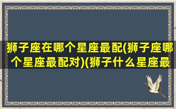 狮子座在哪个星座最配(狮子座哪个星座最配对)(狮子什么星座最配对)