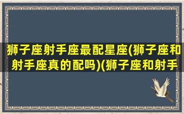 狮子座射手座最配星座(狮子座和射手座真的配吗)(狮子座和射手座绝配)