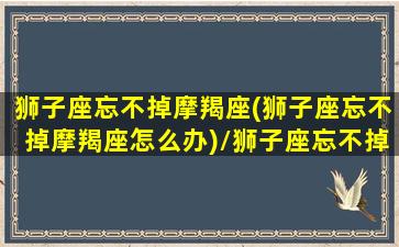 狮子座忘不掉摩羯座(狮子座忘不掉摩羯座怎么办)/狮子座忘不掉摩羯座(狮子座忘不掉摩羯座怎么办)-我的网站