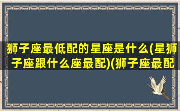 狮子座最低配的星座是什么(星狮子座跟什么座最配)(狮子座最配星座排名)