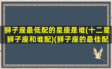 狮子座最低配的星座是谁(十二星狮子座和谁配)(狮子座的最佳配对是什么星座配对)