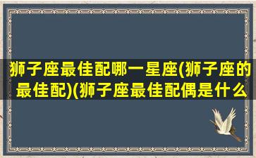 狮子座最佳配哪一星座(狮子座的最佳配)(狮子座最佳配偶是什么星座)