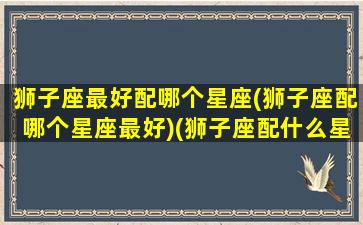 狮子座最好配哪个星座(狮子座配哪个星座最好)(狮子座配什么星座的)