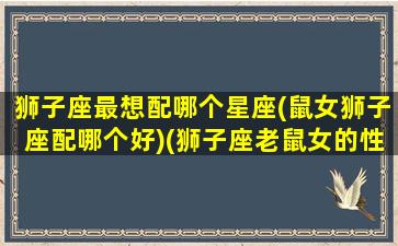 狮子座最想配哪个星座(鼠女狮子座配哪个好)(狮子座老鼠女的性格)