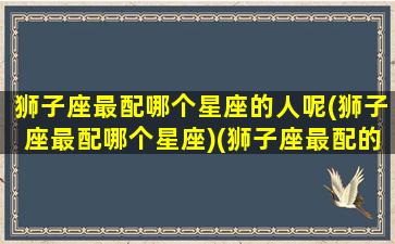 狮子座最配哪个星座的人呢(狮子座最配哪个星座)(狮子座最配的几个星座)