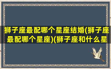 狮子座最配哪个星座结婚(狮子座最配哪个星座)(狮子座和什么星座最配结婚)